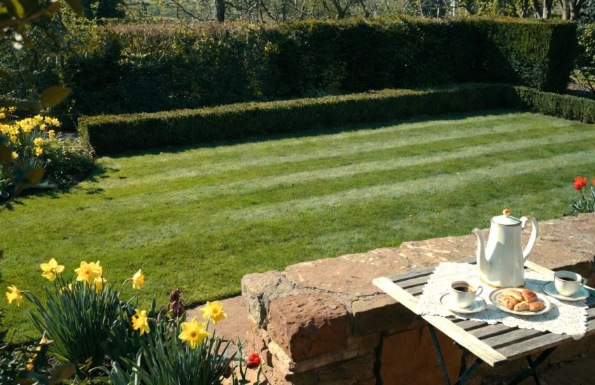 Gartentraum für Babyboomer. Der Rasen ist gemäht. Die Blumen blühen. auf dem Tisch 2 Tassen und eine Kaffeekannte. Dazu süßes Gebäck ... lenz-gartenpflege.de